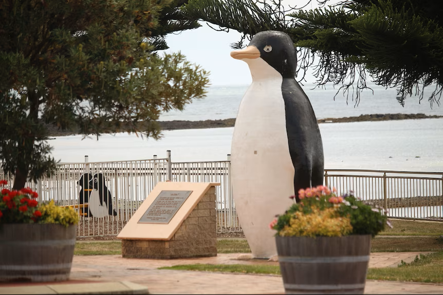 Big Penguin